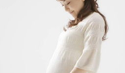 孕妇能吃麻豆吗,麻豆的适宜与禁忌